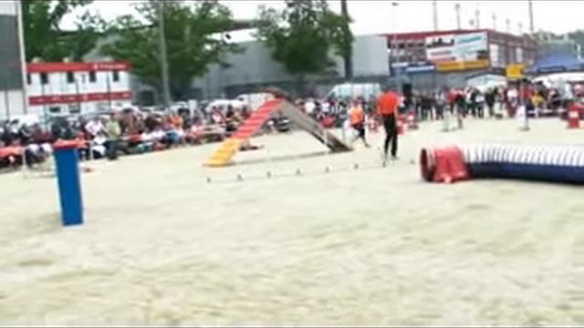 FMBB2010 FINALE AGILITY , Terreur -Masquée Baka смотреть онлайн