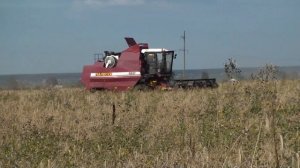 Уборка урожая 2012.Комбайн Палессе GS12