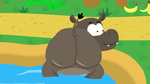 Попа бегемота