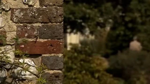 Гений Чарльза Дарвина. Часть 3. Бог наносит ответный удар смотреть онлайн