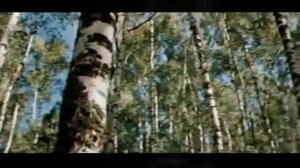 Елена Зайцева Берегиня 'Воин Руси'