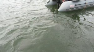 Судак 6 кг Истринское водохранилище