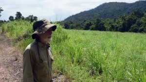 Почему КАЗУАР — самая опасная птица в мире?