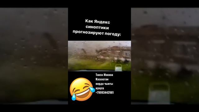 яндекс погода 😂🥀