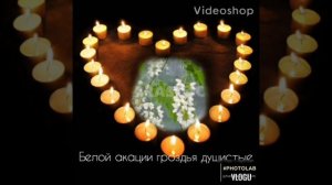 Белой акации гроздья душистые.  Караоке