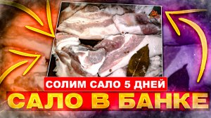 Как засолить сало в банке за 5 дней.