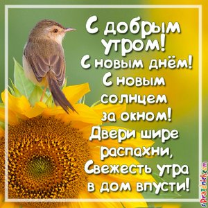 Доброе Утро! Всем Отличного Начало Дня!