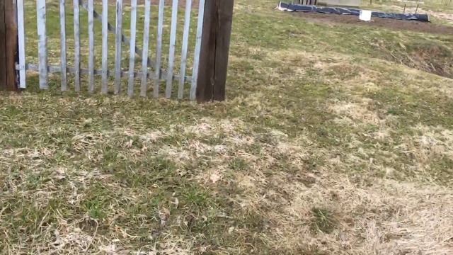 НАЧАЛО ДАЧНОГО СЕЗОНА ,РАБОТЫ В САДУ !!!06.04.2021 г. смотреть онлайн