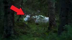 Фотограф потратил 3 года на поиски этого уникального СУЩЕСТВА!