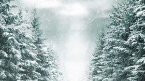 Зимние мотивы        Song-For-A-New-Beginning Secret Garden mp4