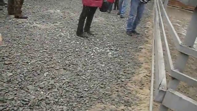 страус полетел смотреть онлайн