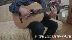 Классическая гитара La Patrie 045457 Concert