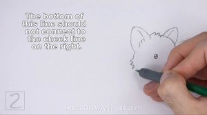 How to Draw a Corgi (Cartoon)