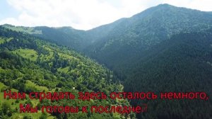 Не тоскуй ты, душа дорогая