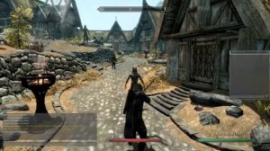 TES Skyrim Online Gameplay