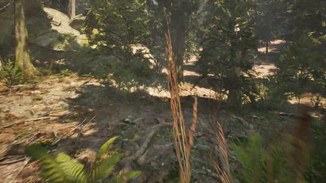 MW Conifer Forest Biome - Nex-Gen graphic - Unreal Engine 5 смотреть онлайн