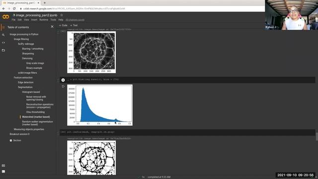 [2021-09-10] Image Processing in Python, Part 2 смотреть онлайн