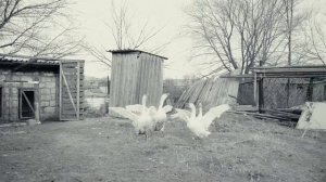 "Мини hазр" | Баина Бамбаева | Кутлан Мукубенов | Мини Газр