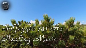 Сольфеджио 741 Гц ~ Очищения от токсинов, Исцеление ~ Музыка для медитации