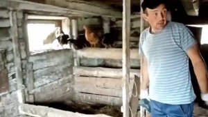 #Разбор сарая. Демонтаж сарая.