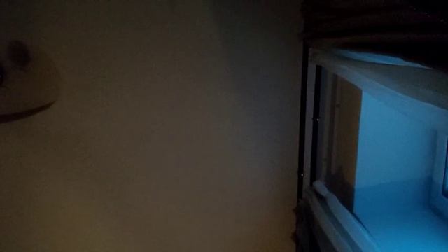 zz test75, es335, bolt. смотреть онлайн