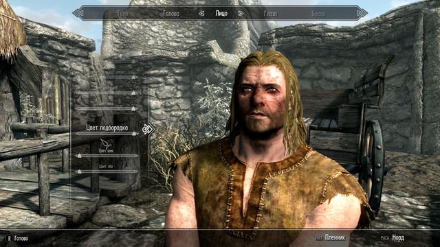 Skyrim краткий обзор