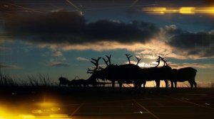 Социальная ответственность Роснефти