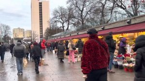 Мои любимые кофейни в Таллинне. Красота города и 14 февраля ❤️