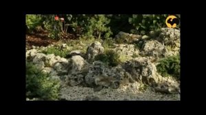 Решения для узкого участка Ландшафтные хитрости серия 78