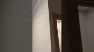 Студия 9 кв.м. (пример)