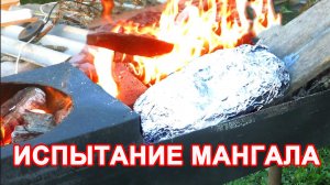 Испытание Мангала. Голень индейки в фольге с картошкой и луком.