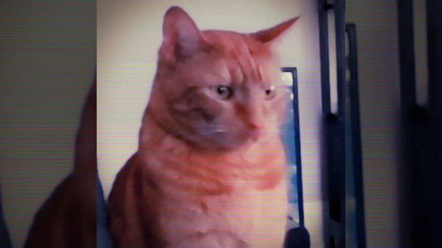 Ｄｕｎｇｅｏｎ Ｓｙｎｔｈ ／ Ｃｏｍｆｙ Ｓｙｎｔｈ － Ｙａｍａｈａ ＤＸ２１ смотреть онлайн