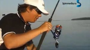 Твичинг крупных минноу от Шанина