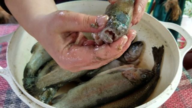 Радужная форель на мангале. Очень просто, но супер вкусно!