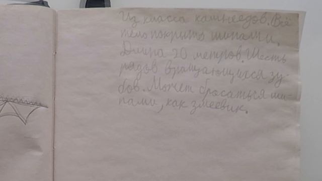 ШЕПОТ СМЕРТИ - МОЯ КНИГА ДРАКОНОВ смотреть онлайн