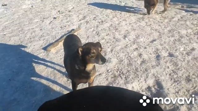 Новости по Иве смотреть онлайн