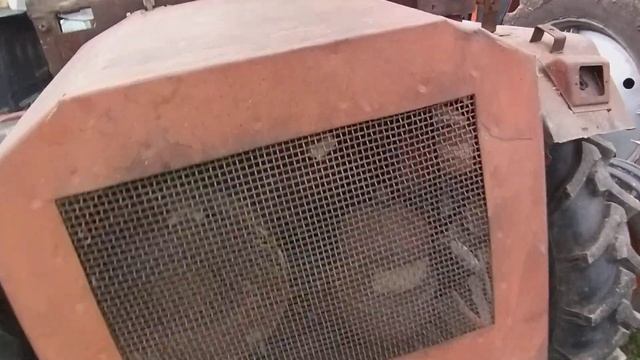 В Т 16 родилас новая жизнь