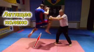 Летящее колено (flying knee)