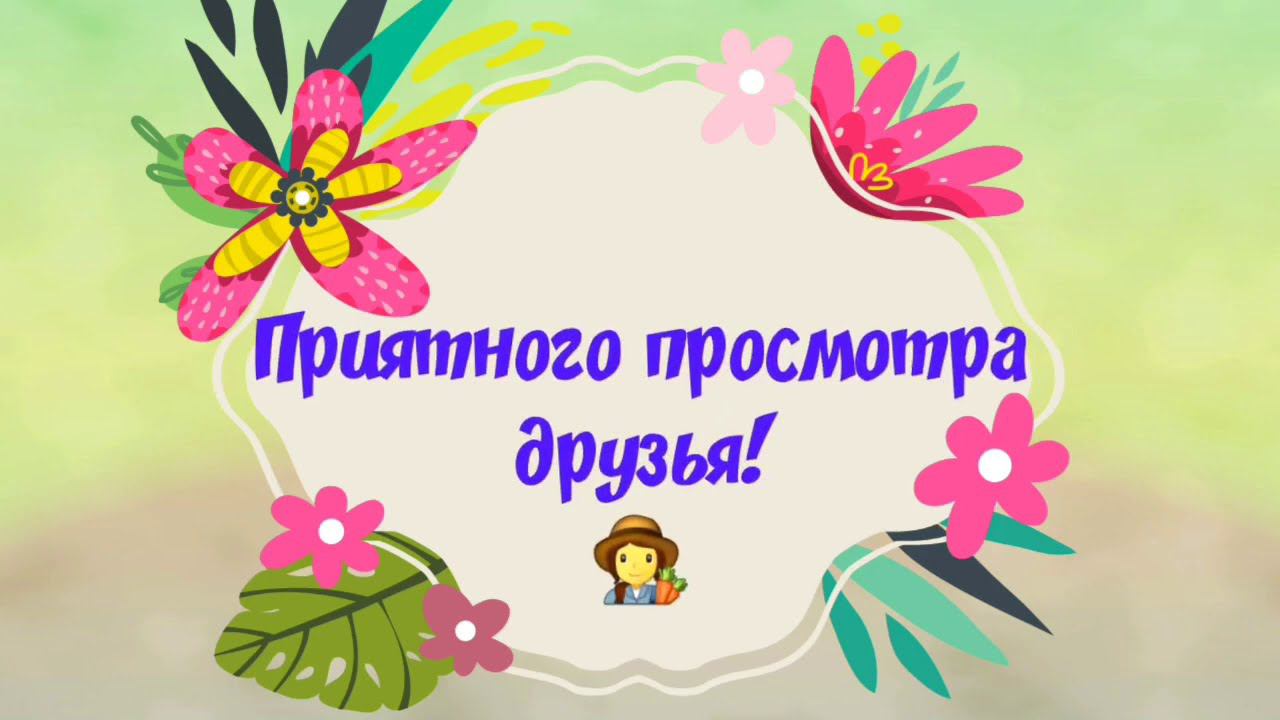 Последняя, важная подкормка томатов. Июль 2020 г.