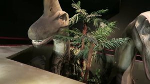 Парк динозавров в Стамбуле Jurassic Land / Космический корабль