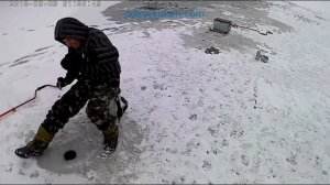 Ловля солнечного окуня на мормышку зимой