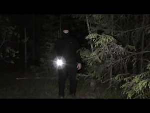Лес самоубийц. Шёпот призрака?. В поисках призрака