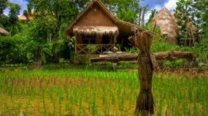 Fortuna Phuket 3*
Таиланд, Пхукет