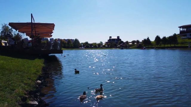 Краснодар. Немецкая деревня. Уточки на озере. смотреть онлайн