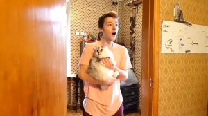 ПОДАРИЛА ПАРНЮ 100 КОШЕК ПРАНК / ОН ПЛАЧЕТ ОТ СЧАСТЬЯ / САМЫЙ МИЛЫЙ ПРАНК НАД ПАРНЕМ / АНАНАСТЕНЬКА