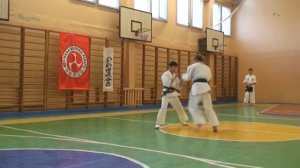 Ката в каратэ | Каратэ ашихара будокай