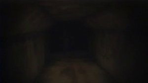 VHS ? (rat-man)