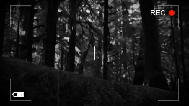 DiaFilm : Страшилка .... пробую.... смотреть онлайн