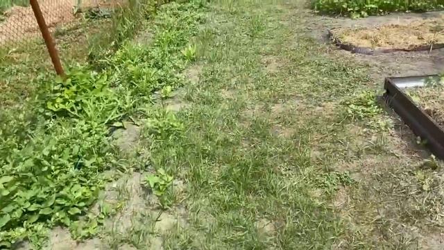 ЧТО ПРИВЕЗЛИ ИЗ ОЗОНА И ВАЙЛТБЕРИСА, МОИ ПОКУПКИ В РАЙЦЕНТРЕ, ЧТО С КАРТОШКОЙ ПОД СЕНОМ смотреть онлайн