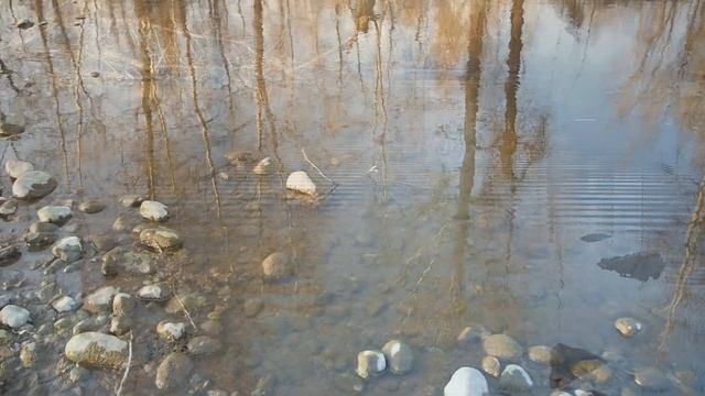 Серебрянка в Каа-Хеме
